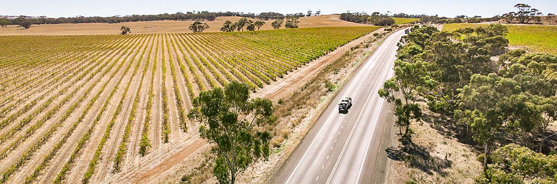 A landscape view of the vineyards and a regional road with a car travelling on it