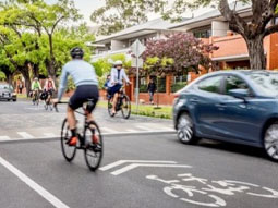 A cyclist wearing a blue jersey is on a bike boulevard.