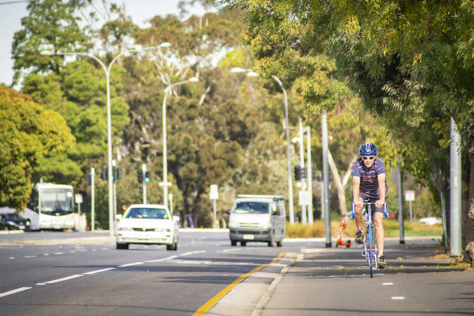 seperated bike lane